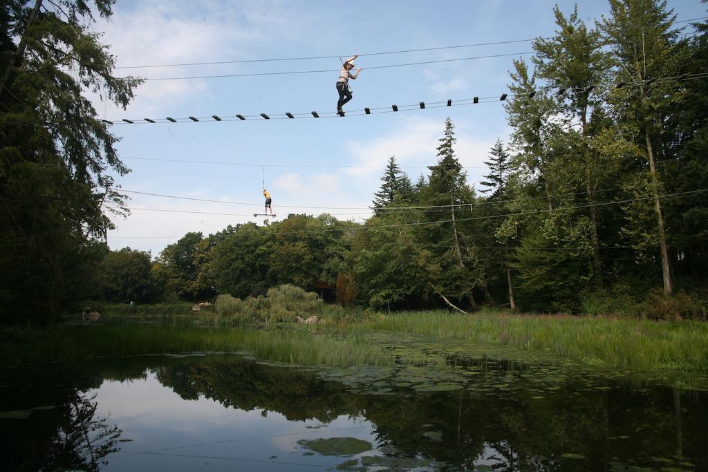 לינה וארוחת בוקר Insolite Dans Les Arbres Les Ormes, Epiniac מראה חיצוני תמונה