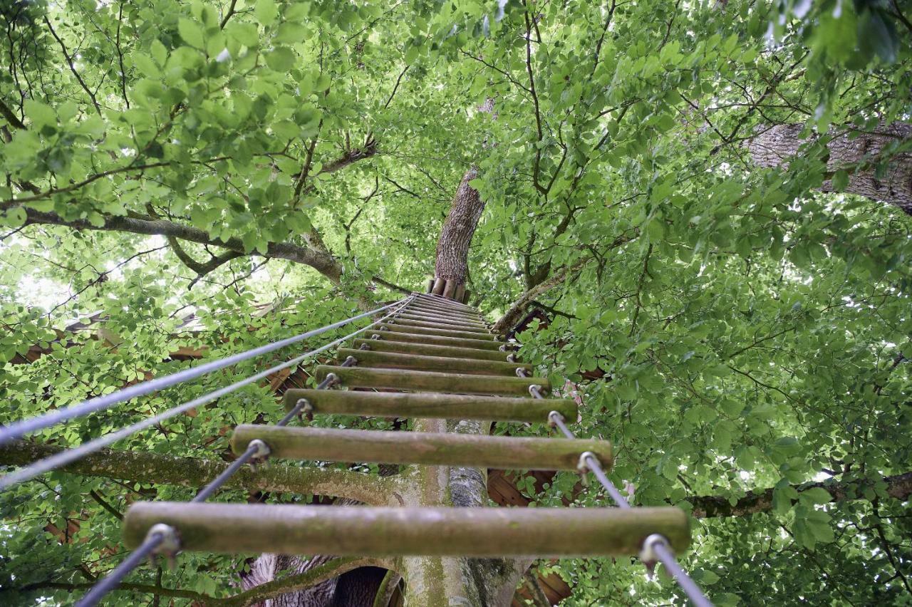 לינה וארוחת בוקר Insolite Dans Les Arbres Les Ormes, Epiniac מראה חיצוני תמונה