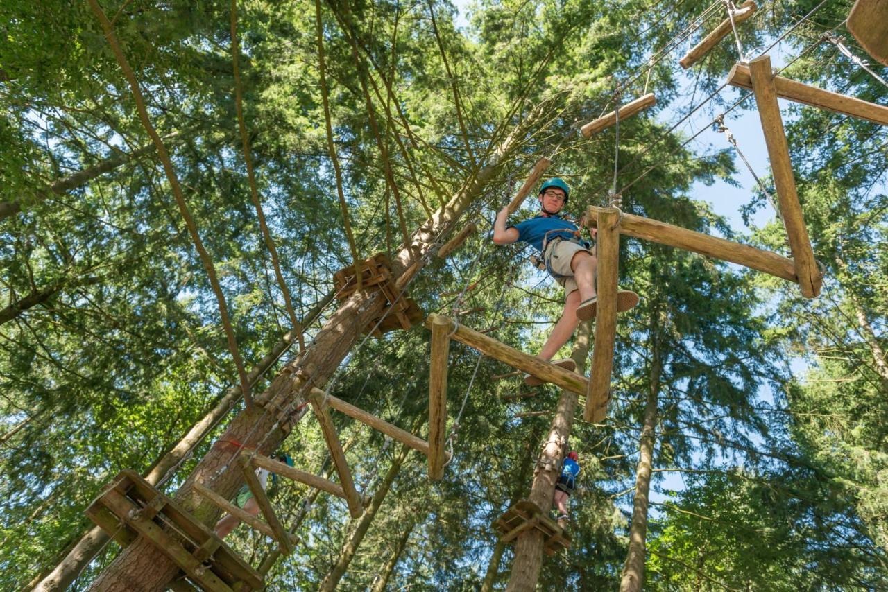 לינה וארוחת בוקר Insolite Dans Les Arbres Les Ormes, Epiniac מראה חיצוני תמונה